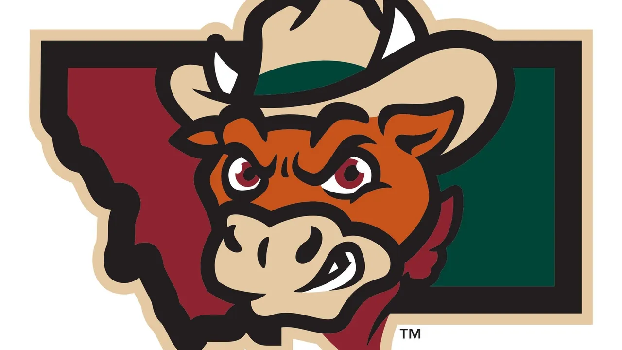 Billings Cattle Punchers vs. Idaho Falls Spud Kings