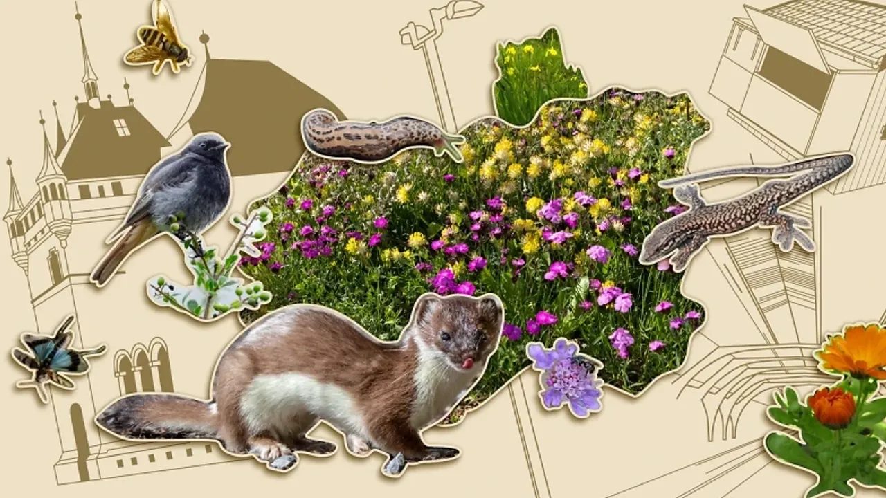 Ausstellung: Vernetzte Natur – Lebenswerte Stadt