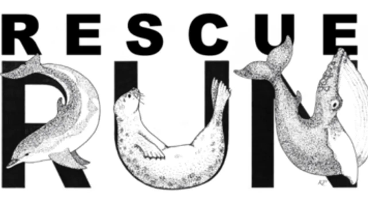 Rescue Run: Race for Marine Mammals