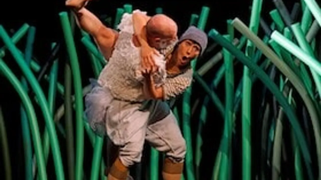Nils Holgersson - Tanztheater für Menschen ab 4 und die ganze Familie