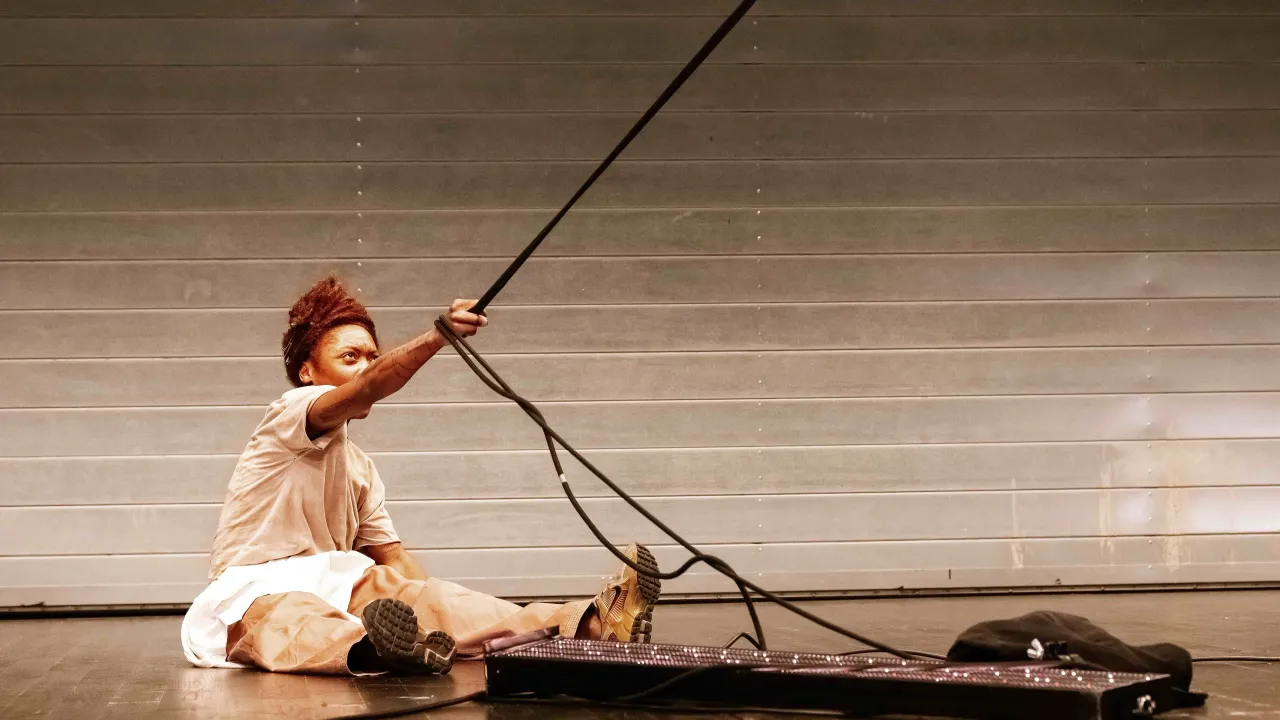 Festival / Johana Malédon - (titre provisoire)