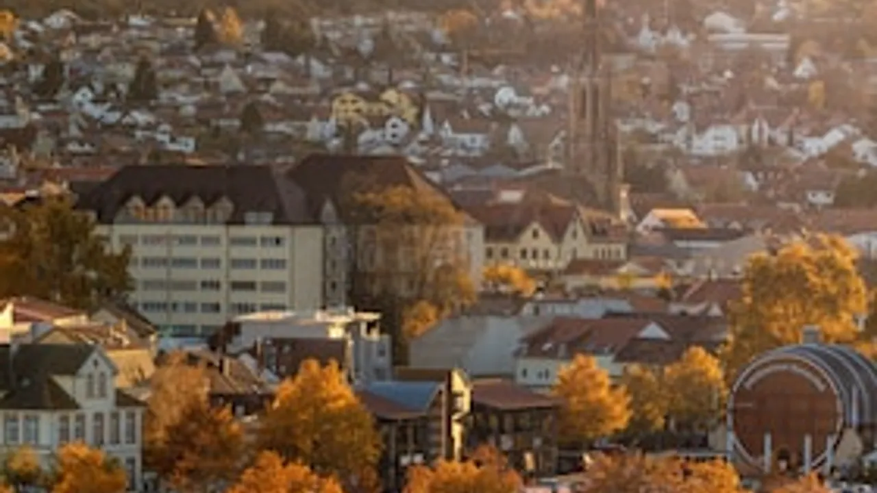 Herbstzauber: Stadtgeschichte(n), Zwiebelkuchen & Neuer Wein