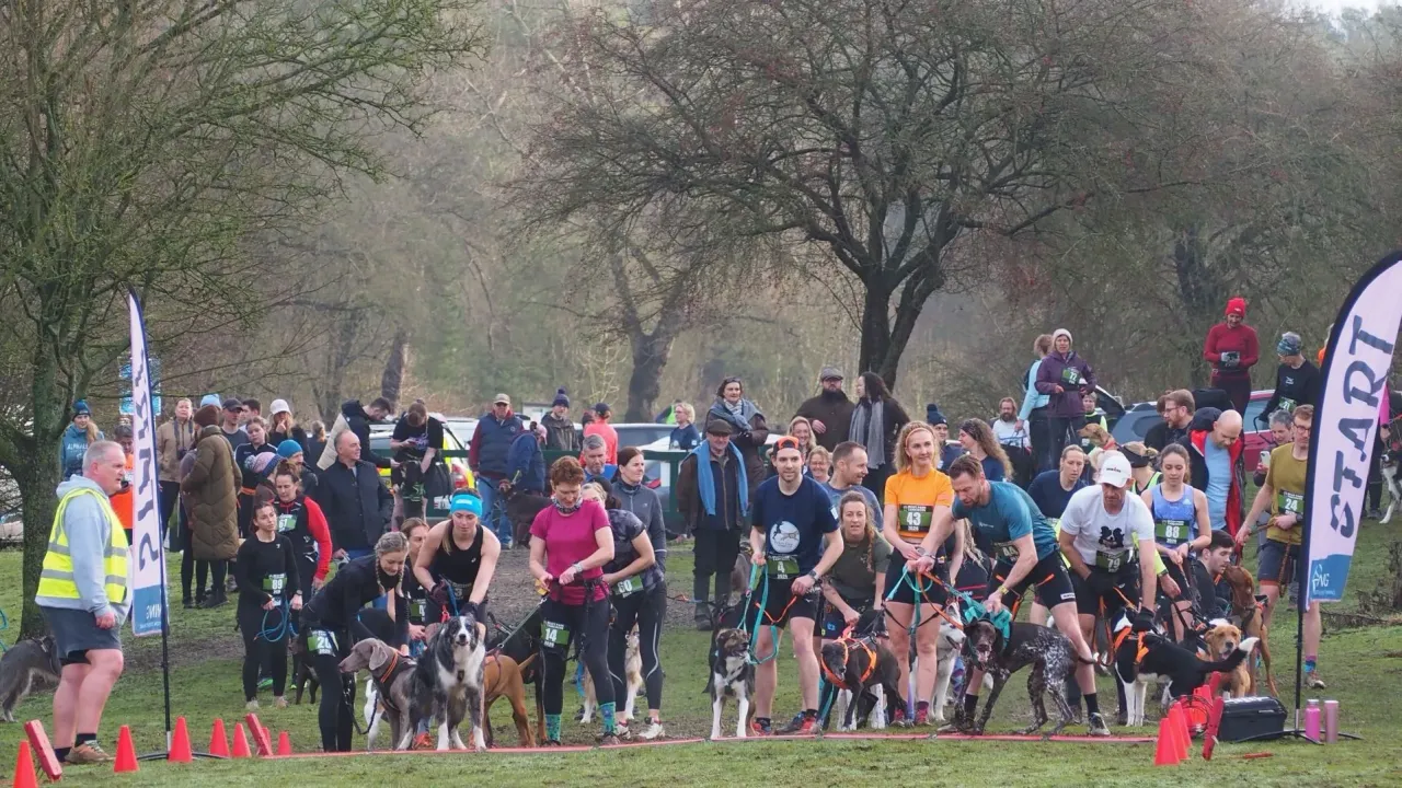 Irchy Park Canicross