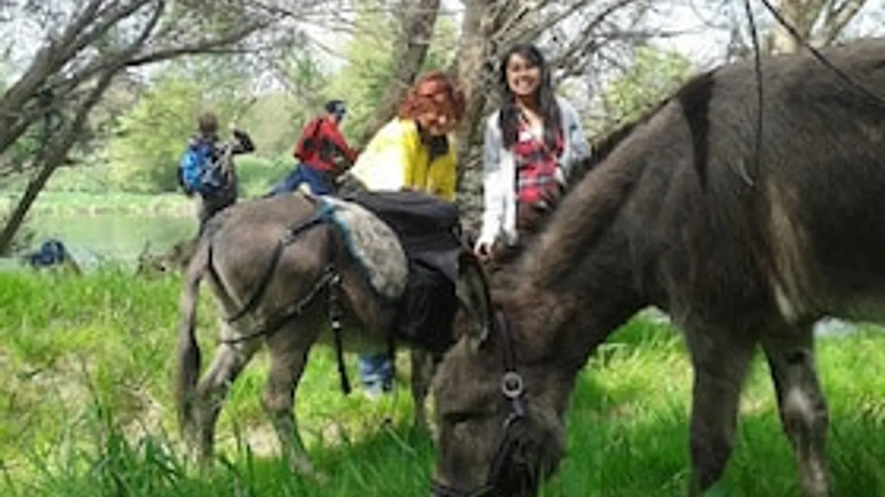Eselwanderung & Wildkräuterführung mit Oliver Haury