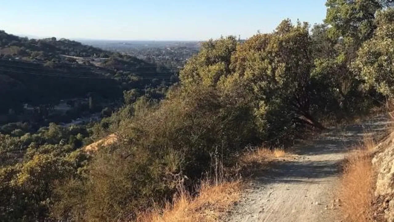 Hacienda Hills Trail Run - Winter