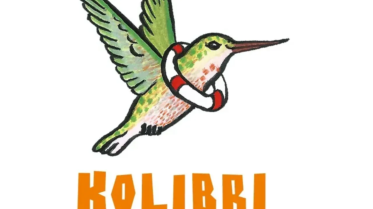 Kolibri Bibliothekswerkstatt – Pompons?