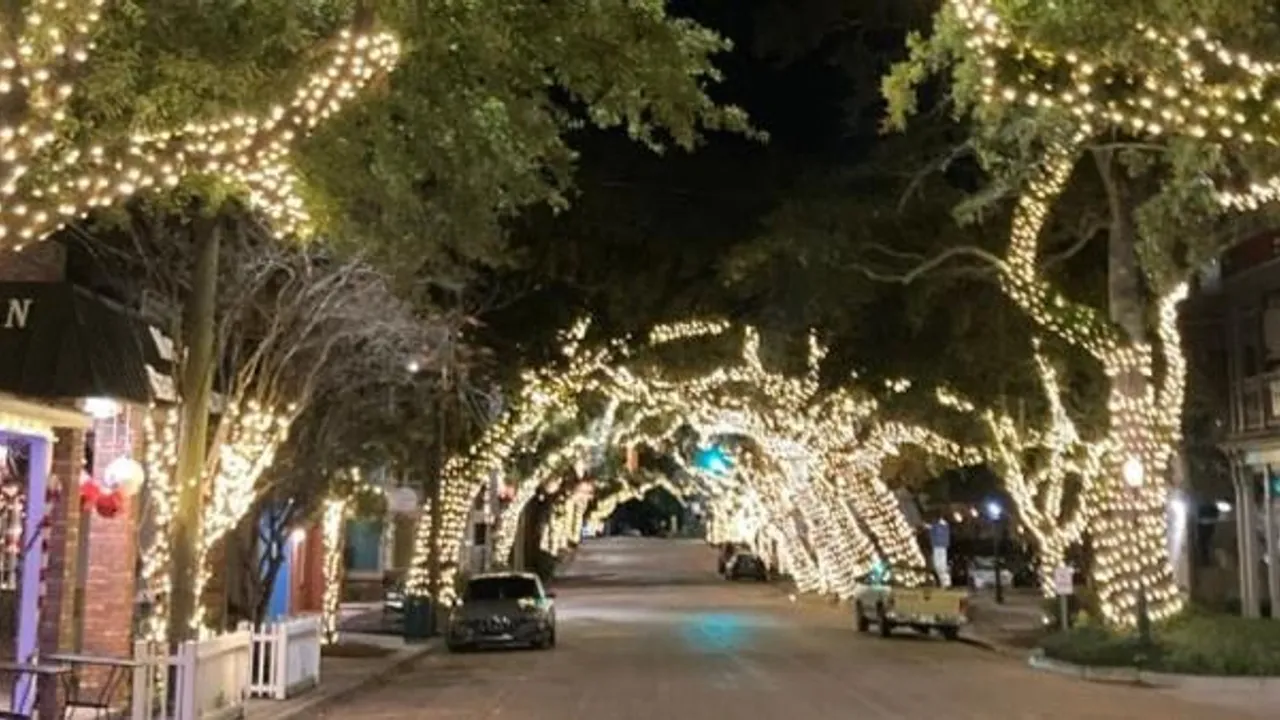 Live Oak Ultra