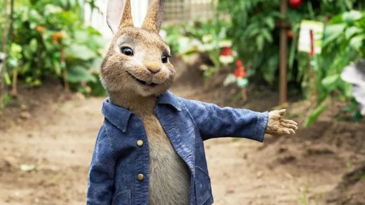 PETER RABBIT
