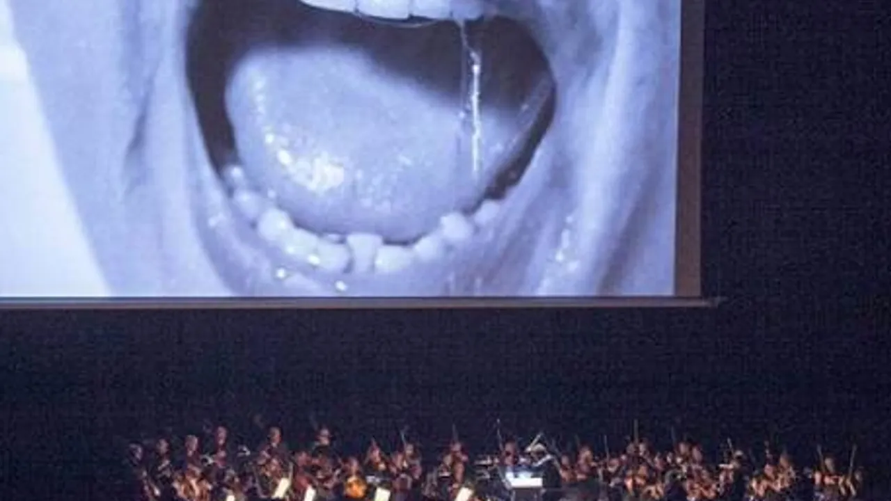 Orquestra Simfònica del Vallès