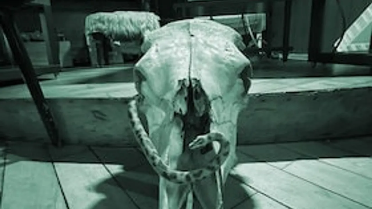 Klangverkostung: "Animalisch"