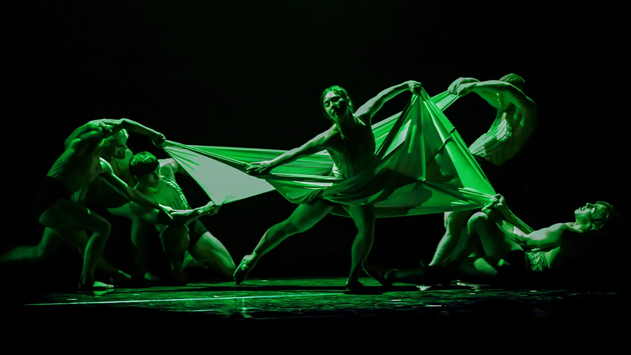 Pilobolus: Trips