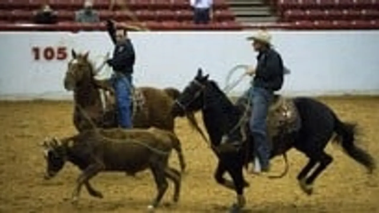 Mississippi State Fair Tri-state Rodeo