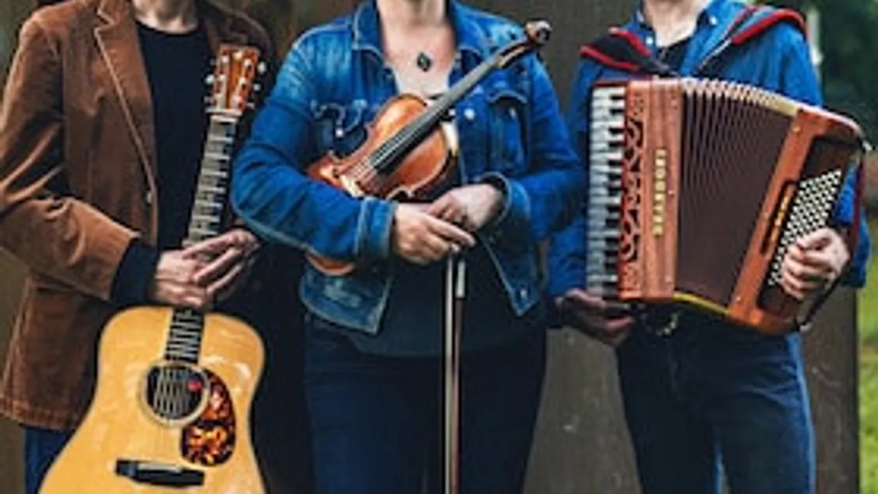 PalmBayFrost - Folk Music