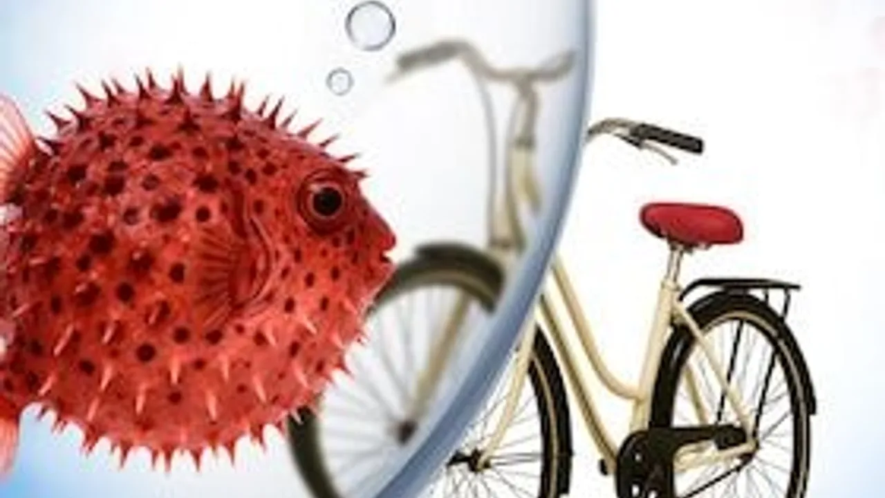 Fisch sucht Fahrrad - Komödie mit Caroline Beil, Janina Hartwig, Dieter Landuris u.a.