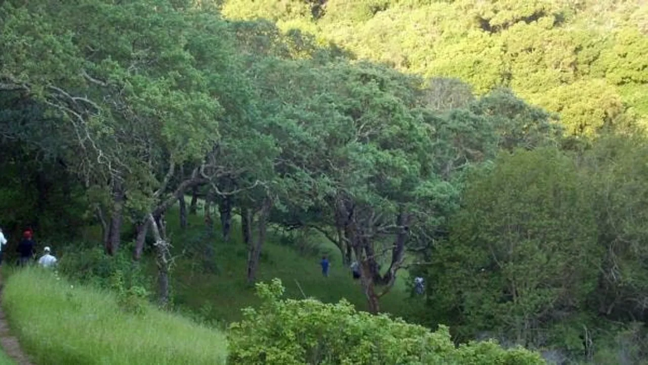 Quicksilver Trail Challenge
