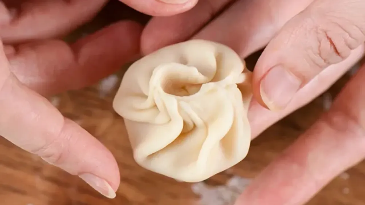 Authentic Asian Dumplings - SF