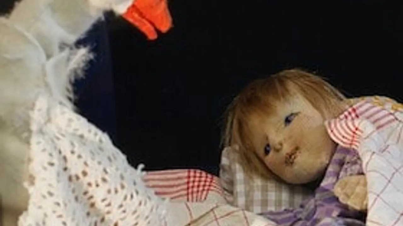 Weihnachtsgans Auguste