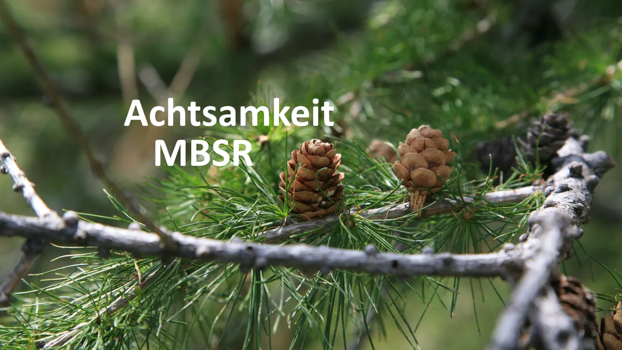 MBSR 8-Wochenkurs in Luzern - Abend