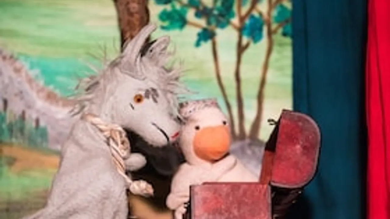 Bruckis Puppentheater - Auf den Spuren der Schatzkarte