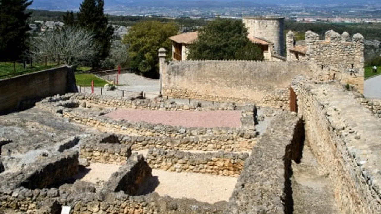 No és una casa, és una tintoreria! Els espais i funcions d’un taller artesanal