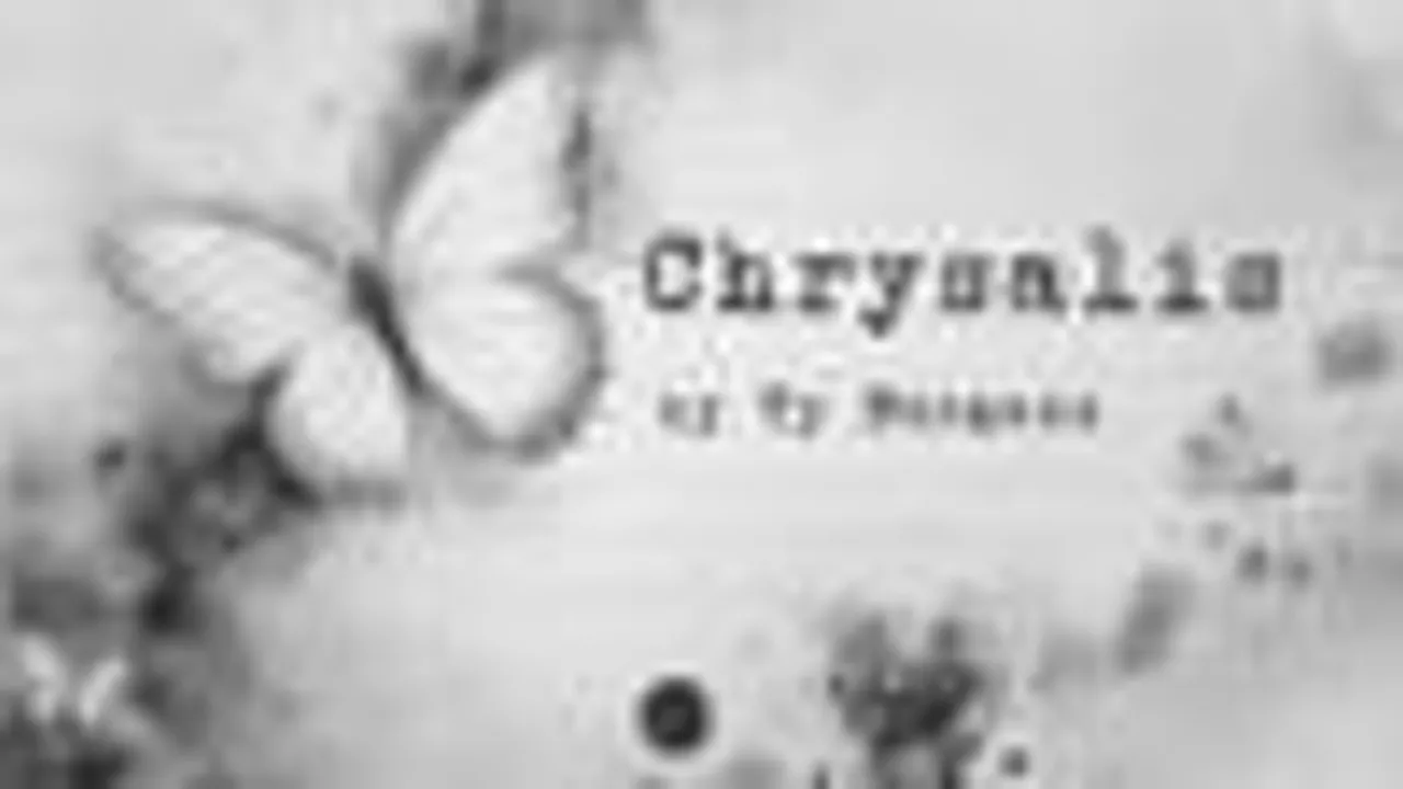 Chrysalis