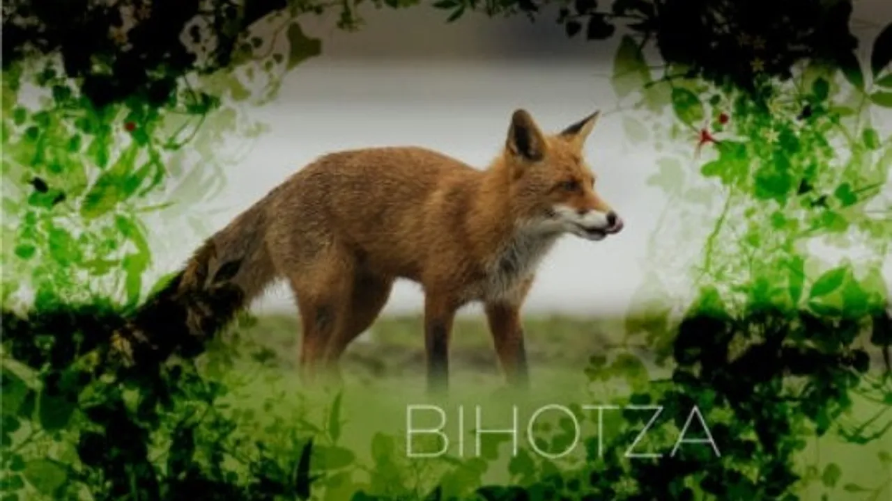 Bihotza, la vida en Álava como nunca la habías visto