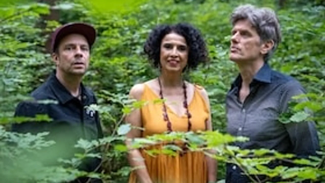Paula Morelenbaums „Bossarenova Trio“ - Levitar