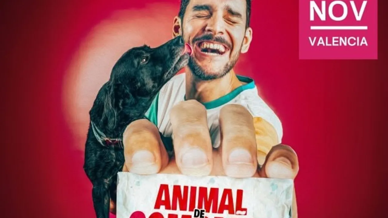 JORGE BOLAÑOS - Animal de compañia