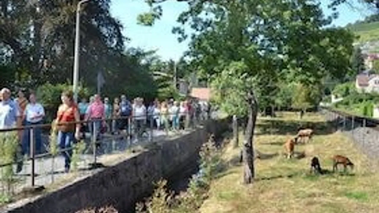 Exklusive Weinwanderung mit Speis und Trank - Exklusive kulinarische Weinführung mit moderierter 6er- Weinprobe für 5h