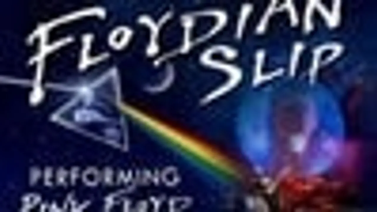 Fabulous Armadillos - FLOYDIAN SLIP
