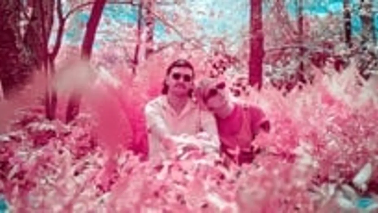 Pink Halo: 'Daydream' Album Release Show