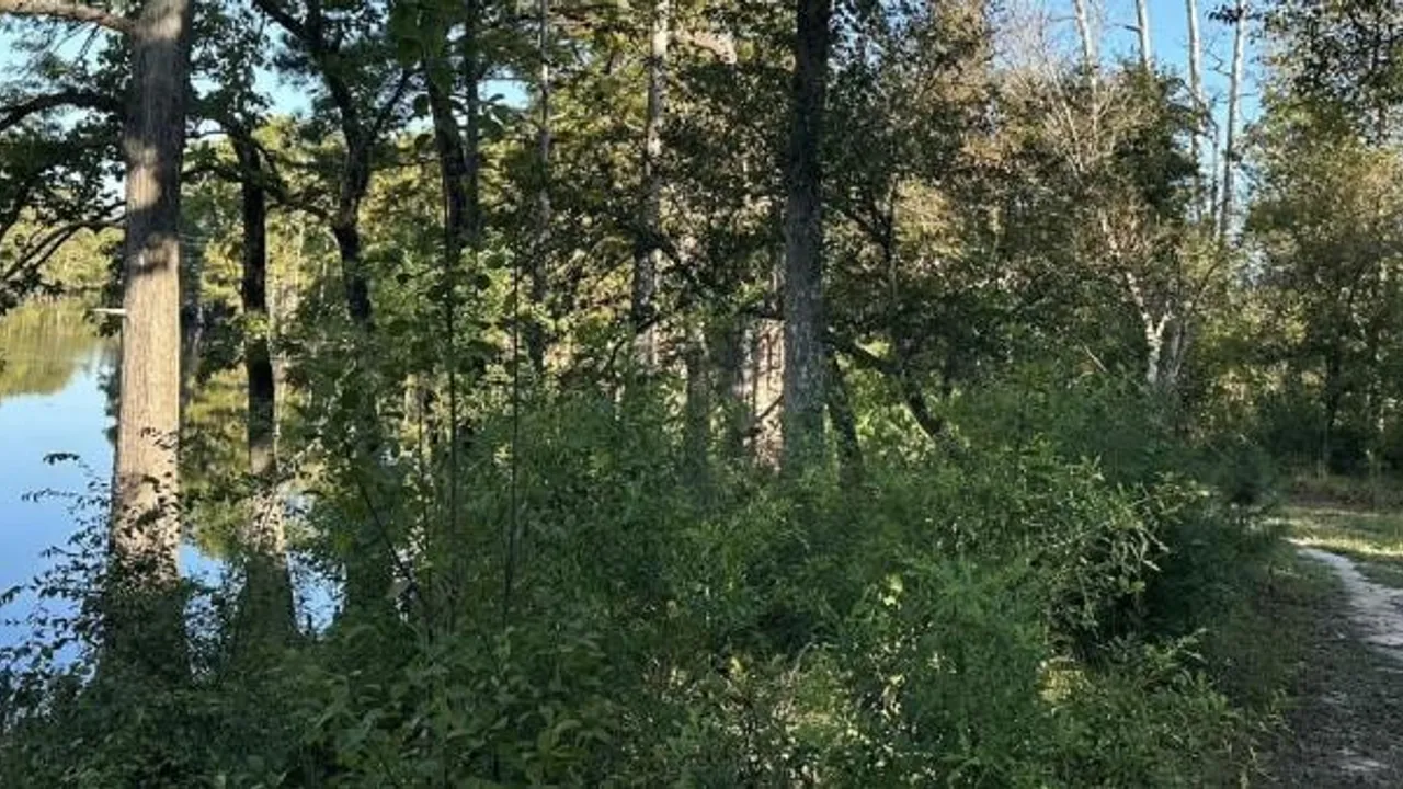 No Man's Land Trail Run