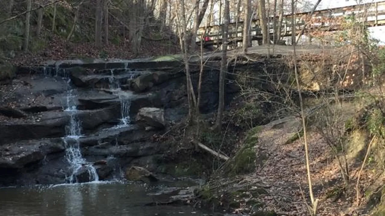 Millstone Trail Races