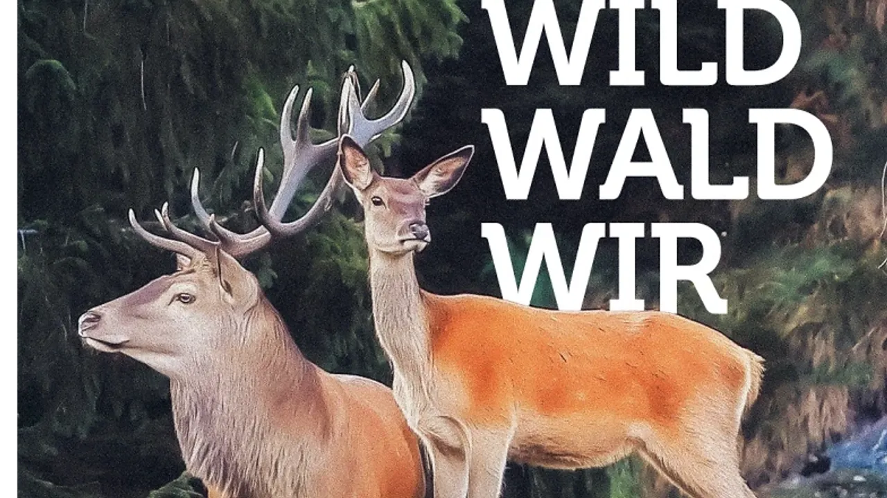 Sonderausstellung «Wild. Wald. Wir.»