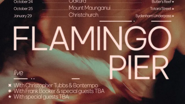 Flamingo Pier (live) - Woven Together Tour