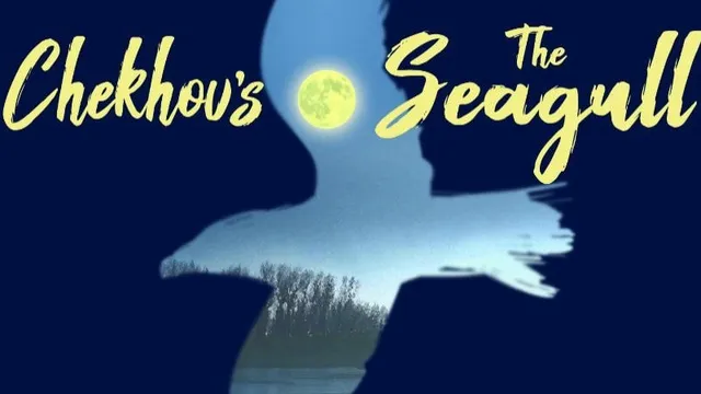 The Seagull By Anton Chekhov