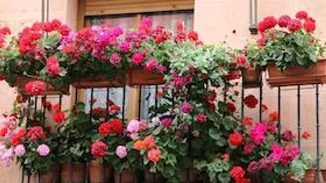 Ein Spanischer Frühling