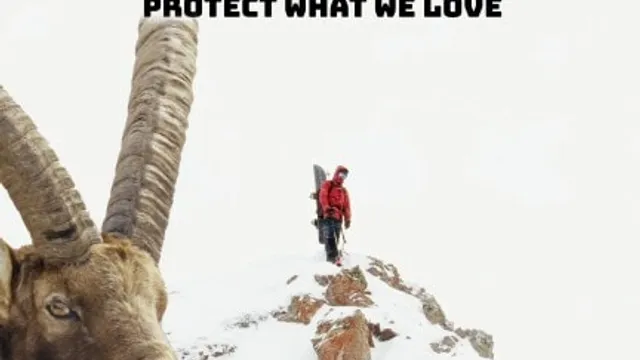 Schulkino Zürich - Out of Bounds: Protect What We Love