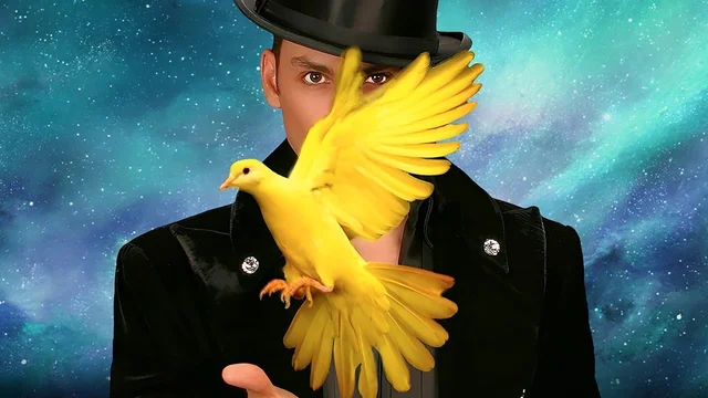 Allstars of Magic