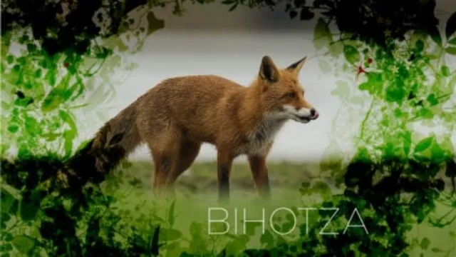 Bihotza, la vida en Álava como nunca la habías visto