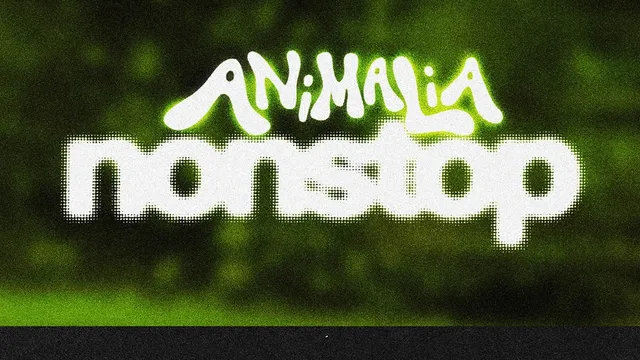 Animalia Nonstop: Fred P, Kia, Louis Marlo (live), Mia Koden, Moopie, Simisea