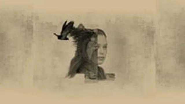 Testament By Irish National Opera