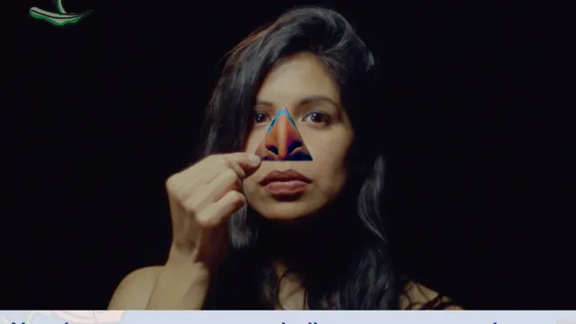 Festival Viva México - Projection de "Nuestro cuerpo es una estrella que se expande"