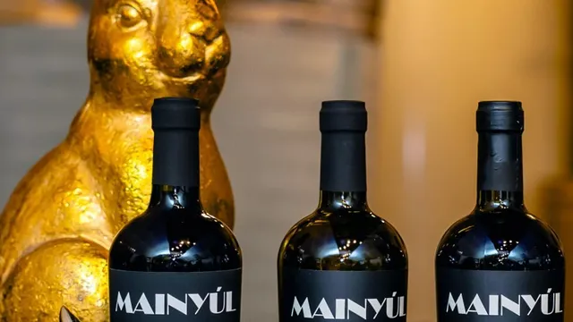 MAINYÚL borkóstoló a pesti belváros egyetlen garzonborászatában