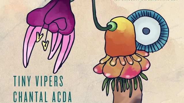 Tiny Vipers + Chantal Acda + Red River Dialect