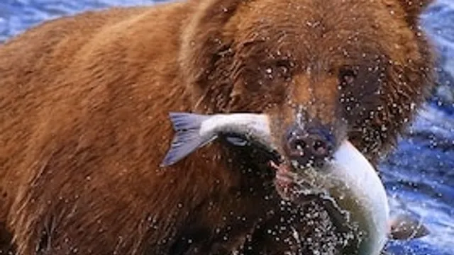 Alaska und der Südwesten der USA