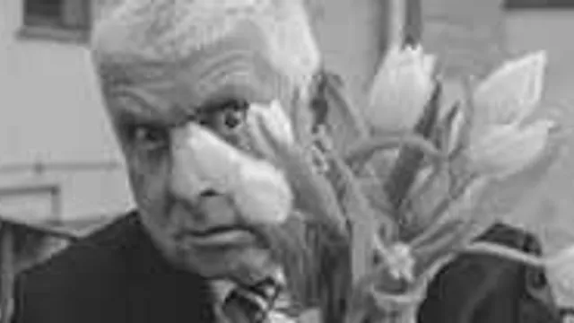 Erwin Grosche - PIPIFAX - Vom Nutzen der Nebengeräusche