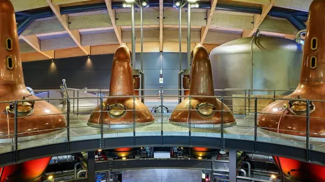 The Macallan Tasting