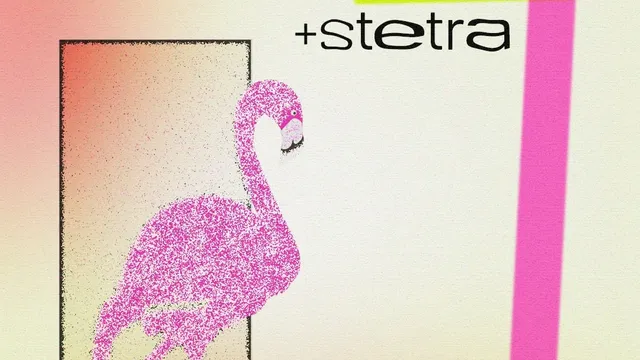 STETRA + DVIZE
