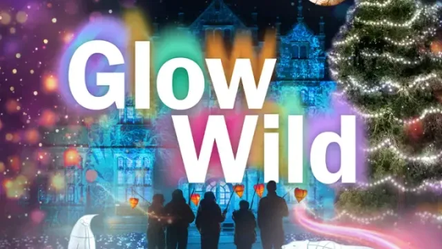 Glow Wild at Kew Wakehurst, Sussex